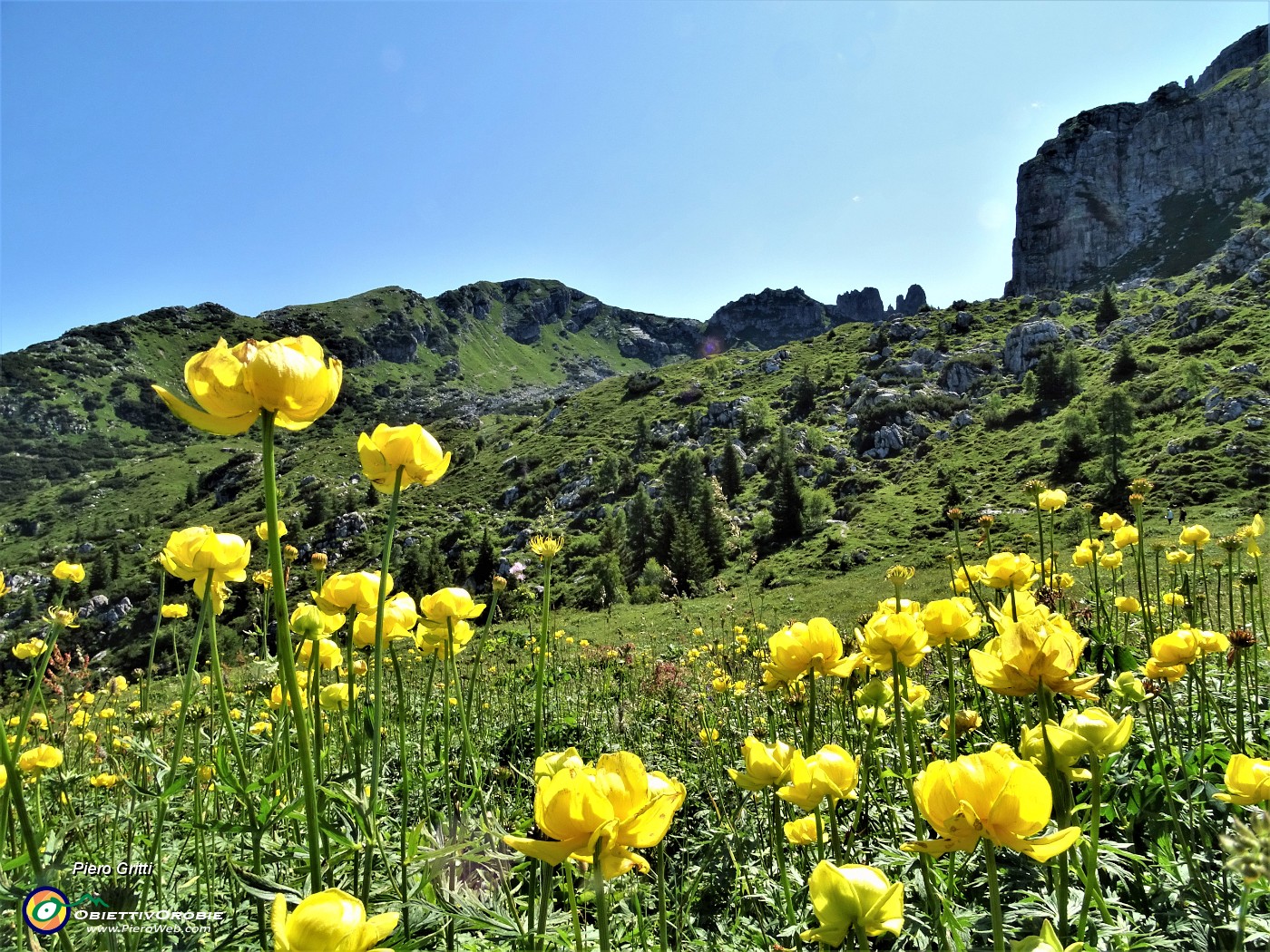 27 Botton d'oro (Trollius euopaeus) con Corna Grande a sx e 'Falesia dell'Era Glaciale' a dx.JPG -                                